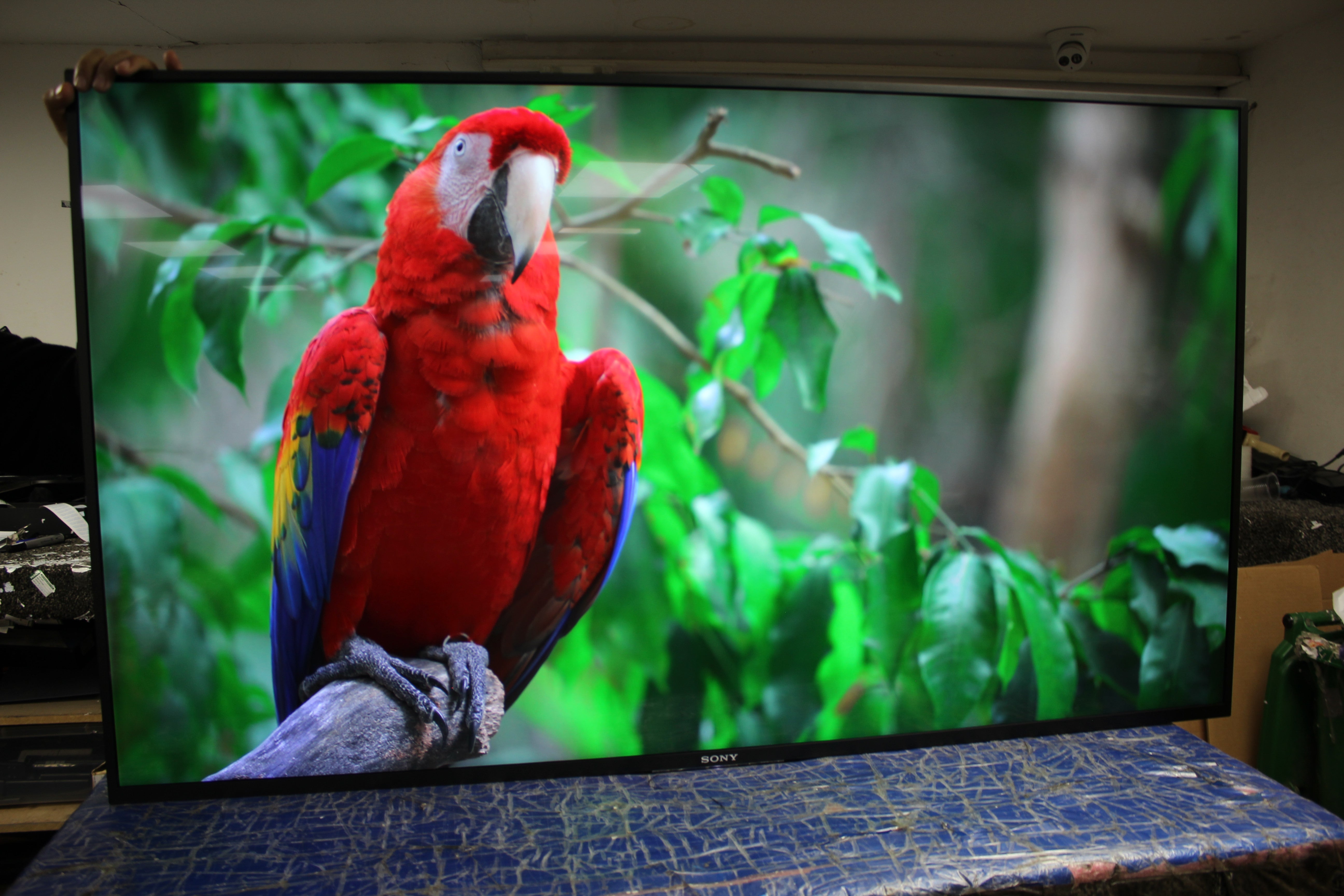 55" Sony KD55XE8396 4K Ultra HD HDR Smart Android LED TV - Electronic World TV